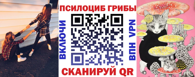 закладки  Славянск-на-Кубани  Галлюциногенные грибы мухоморы 